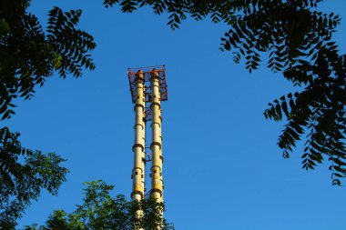 gökyüzüne karşı iki boru ve yaprakları