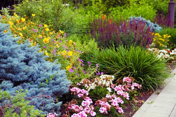 Spring Flowers City Park — Stock Photo, Image