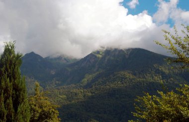 Mavi gökyüzü, güzel dağlar ve yeşil orman.