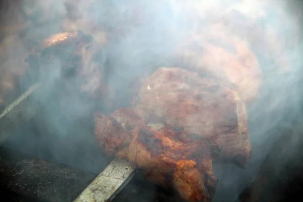 Cooking Tasty Shashlick Outdoors Closeup — Stock Photo, Image