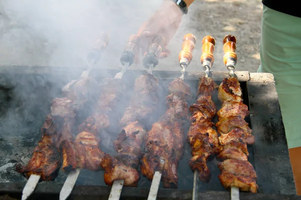 Cooking Tasty Shashlick Outdoors Closeup — Stock Photo, Image