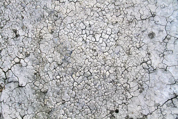 Cracks White Soil Dry Season Effect Global Warming — Stock Photo, Image