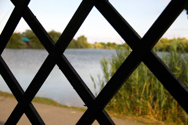 sniffing dog nose in the ground. big dog