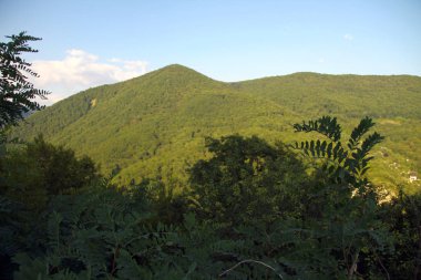 Tuapse bölgesinde dağların manzarası.