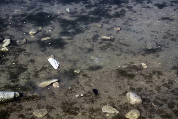 Nehir suyunda nehir taşları. Su altında çakıl. Yukarıdan görüntüle. Nehir geçmişi. Balık ile temiz nehir suyu