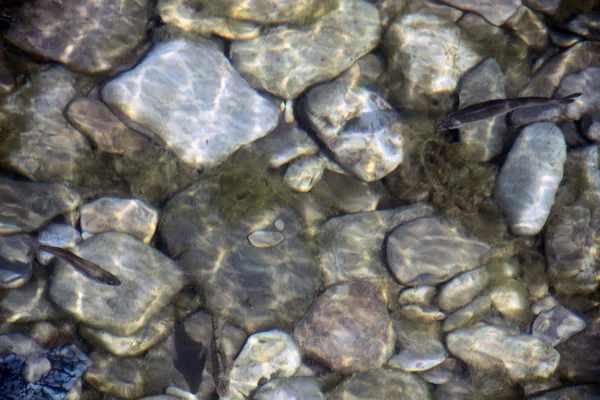 Πέτρες Ποταμών Στο Νερό Του Ποταμού Βότσαλα Κάτω Από Νερό — Φωτογραφία Αρχείου