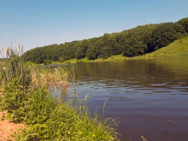 Nehir kıyısının güzel manzara görünümü