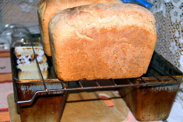 Zwei Brote Nur Aus Dem Ofen Gezogen — Stockfoto