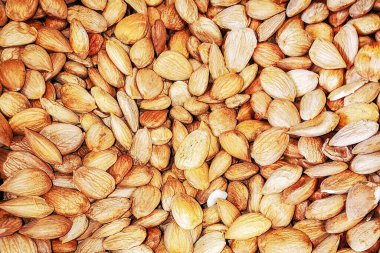 Ceviz rengi bir mendalın Macro fotoğrafı. Taze organik hindistan cevizi yakın plan..