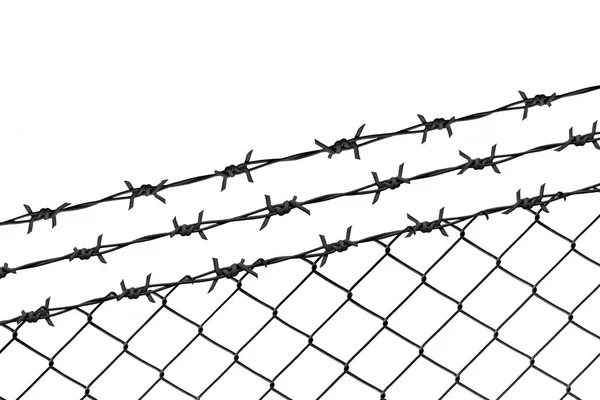 Mesh Fence Barbed Wire White Background Concept Isolation Emigrants Place — Stock Photo, Image