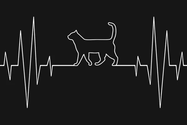 Delineamento Ilustração Gato Que Anda Cardiograma Monitor Coração Fundo Preto — Fotografia de Stock