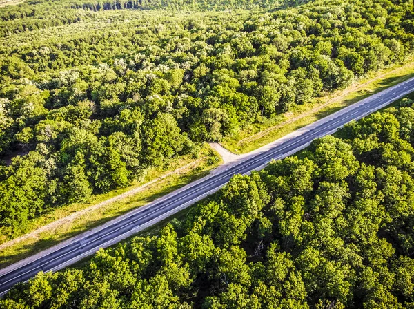 Vacío Camino Que Distancia Medio Bosque Denso Disparando Desde Dron — Foto de Stock