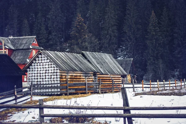 Troncos Colhidos Para Construção Fundo Árvores Natal Estação Inverno — Fotografia de Stock