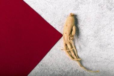 Ginseng için metin alanı olan kırmızı malzeme okla gri bir arka plan üzerinde