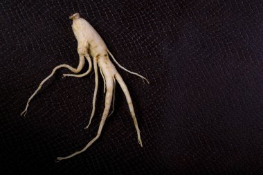 Ginseng yılan derisi metin için yer ile arka plan üzerinde
