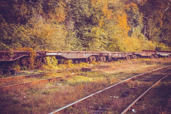 Ferrocarril Que Extiende Distancia Contra Telón Fondo Del Paisaje Otoño —  Fotos de Stock