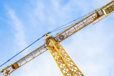 Sarı vinç mavi gökyüzü