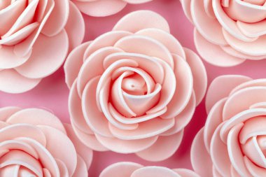 Dekoratif pembe güller, çiçek arka plan