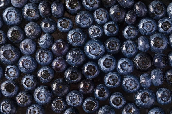 Mirtilo com gotas de água — Fotografia de Stock