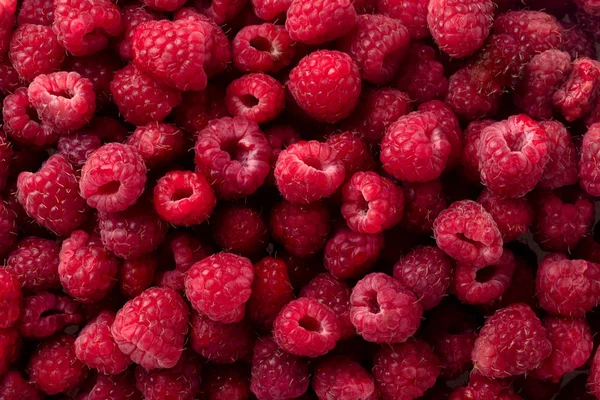 Raspberry vruchten achtergrond — Stockfoto