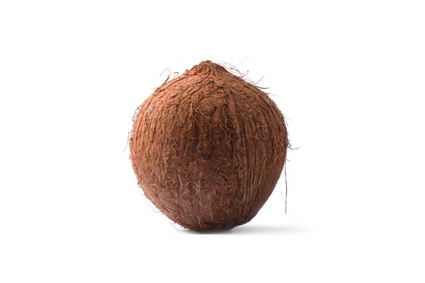 Coco isolado — Fotografia de Stock