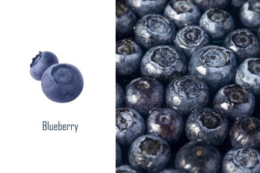 yaban mersini düzeni  