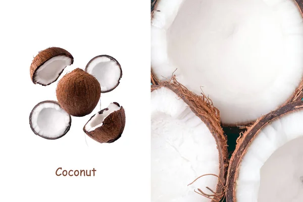 Layout de coco — Fotografia de Stock