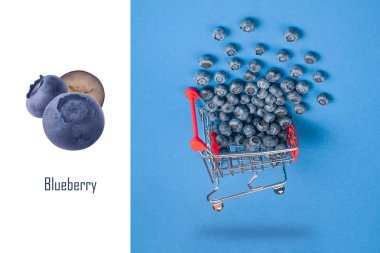 blueberries layout   clipart