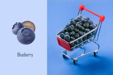 yaban mersini düzeni  