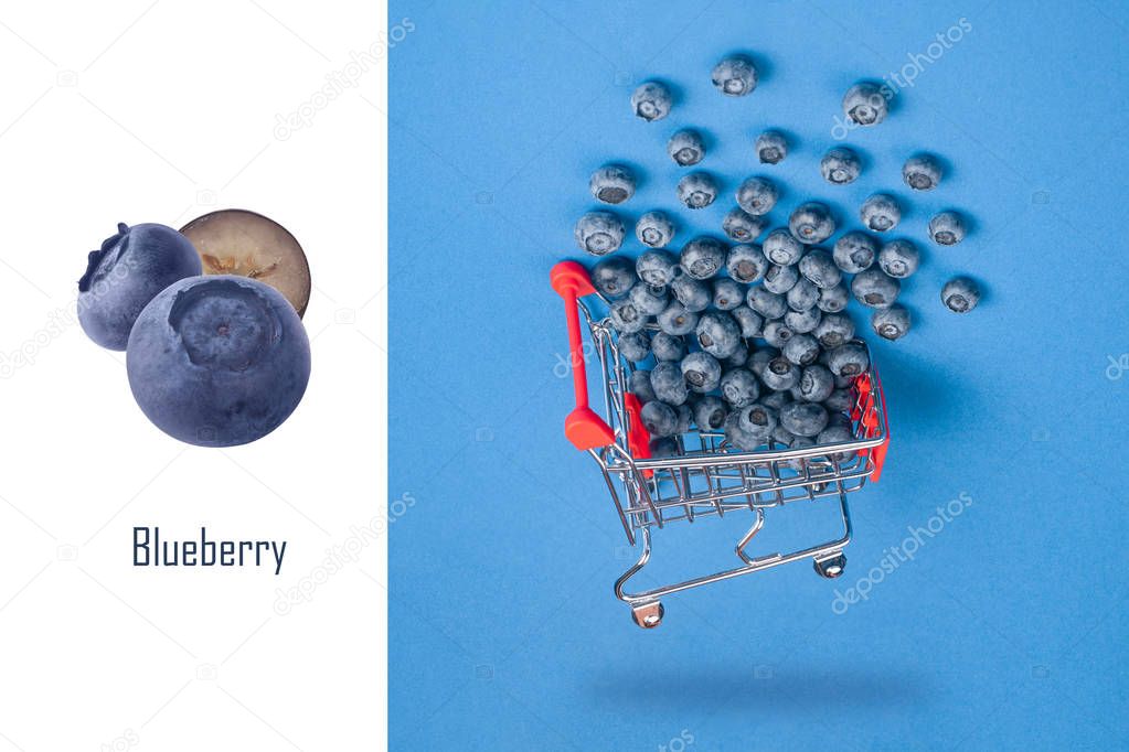 blueberries layout  