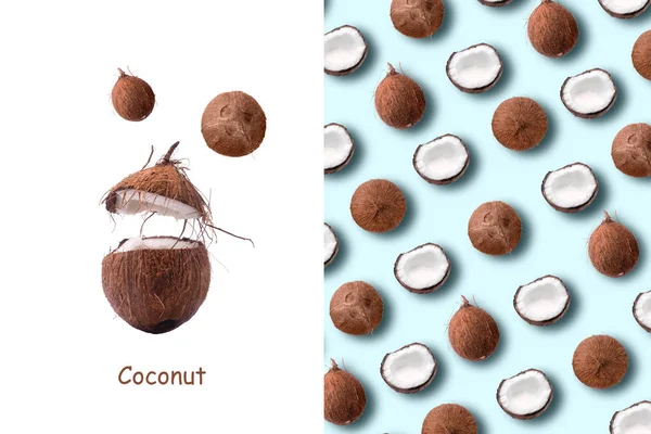 Layout de coco — Fotografia de Stock