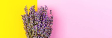 Sarı arkaplanda açan mor lavanta rengi.