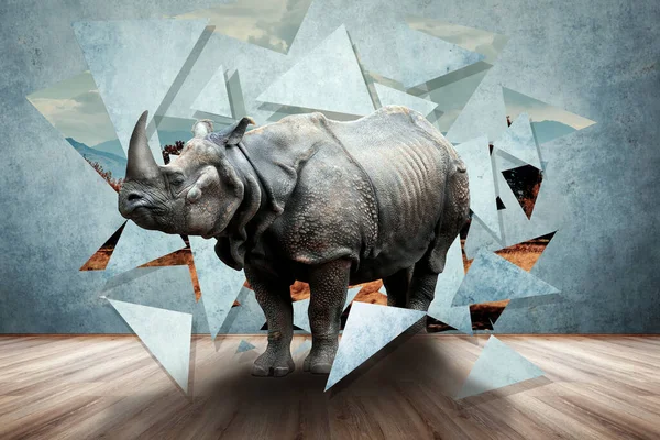 Rhino Dans Chambre Concept Créatif Mixte Photo Média — Photo