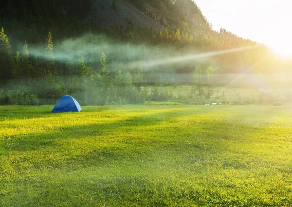 Zelt Auf Dem Gras Zwischen Den Bergen Nebel Zelten Fuße — Stockfoto