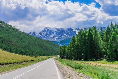 Dağlara giden yol. Orman ve dağ Vadisi.