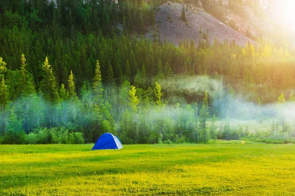 Touristenzelt Fuße Der Berge Zelten Auf Dem Rasen Der Nähe — Stockfoto