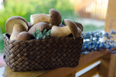 Hasır sepetteki orman mantarları. Durgun hayat. Hasat et