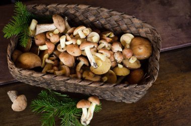 Eski bir sepette bir sürü yaban mantarı.