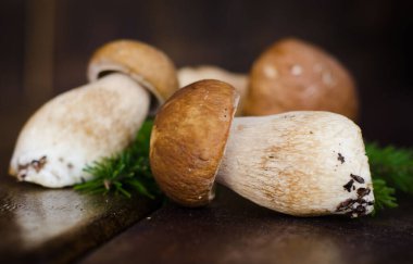 Tahta bir masada taze orman mantarları..