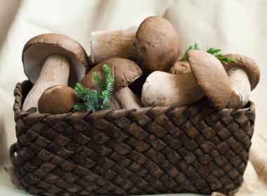 Hasır sepetteki orman mantarları. Durgun hayat. Hasat et.