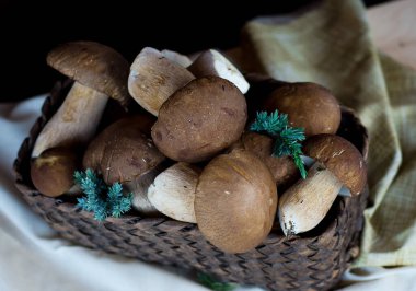 Hasır sepetteki orman mantarları. Durgun hayat. Hasat et.