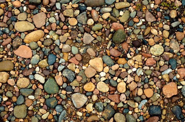 Fundo Pedras Coloridas Calhaus Marinhos — Fotografia de Stock