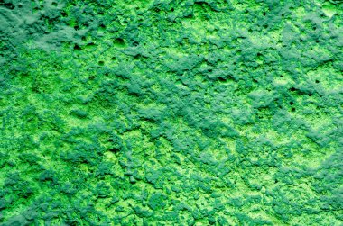 . Parlak yeşil arka plan. Beton dokusu yeşil. Sert renkli yüzey.