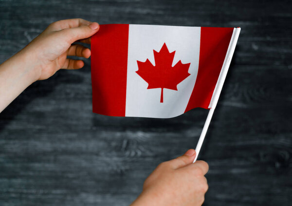 The canadian flag is held by children's hands on a gray background. Happy Canada Day. On July 1, Canada celebrates its national holiday called Canada's Birthday.