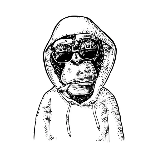 Singe Hipster Avec Cigarette Lunettes Soleil Habillé Dans Sweat Capuche — Image vectorielle