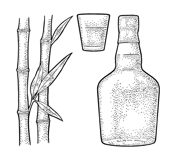 玻璃和一瓶朗姆酒与甘蔗 老式矢量雕刻插图的标签 在白色背景下被隔离 手工绘制的标签 邀请到党的设计元素 — 图库矢量图片