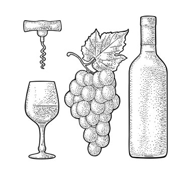 Şarap ayarlayın. Şişe, cam, tirbuşon, berry ve yaprak ile üzüm demet. Vintage renk vektör illüstrasyon izole beyaz zemin üzerine kazınmış. Etiket poster için web.