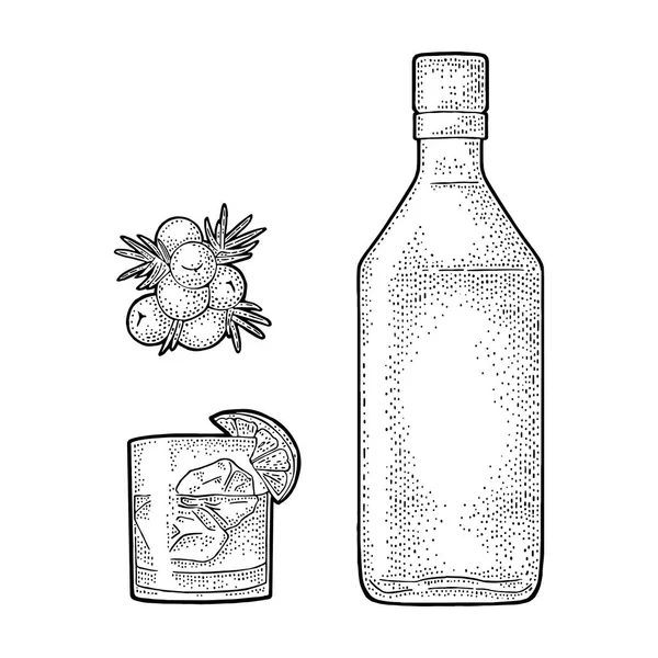 杜松子酒中的浆果 用于标签 网页的古董矢量彩绘插图 因白人背景而被隔离 — 图库矢量图片