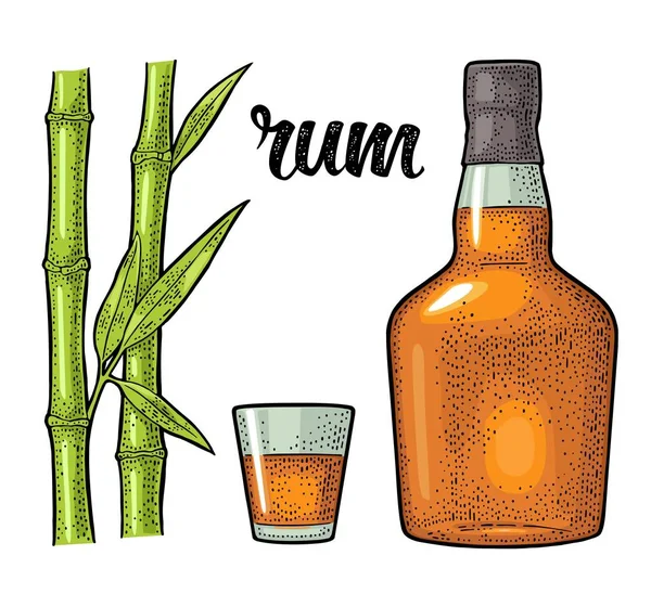 Gelas Dan Botol Rum Dengan Tebu Ilustrasi Ukiran Warna Vektor - Stok Vektor