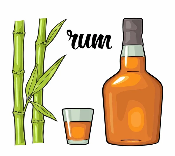 Verre Bouteille Rhum Canne Sucre Illustration Couleur Vectorielle Vintage Isolé — Image vectorielle